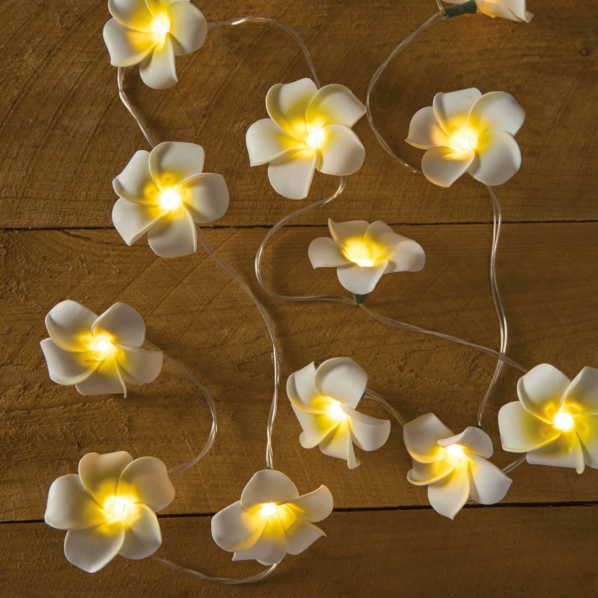 15ct. Plumeria Icon LED String Lights by Ashland®
